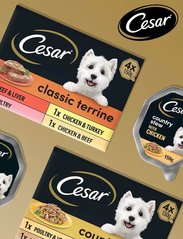 Cesar dog food packaging arranged on a tan background, showing a large Cesar Classic Terrine pouch and a smaller Country Stew with Chicken pouch, both featuring a white dog photo and Cesar branding.