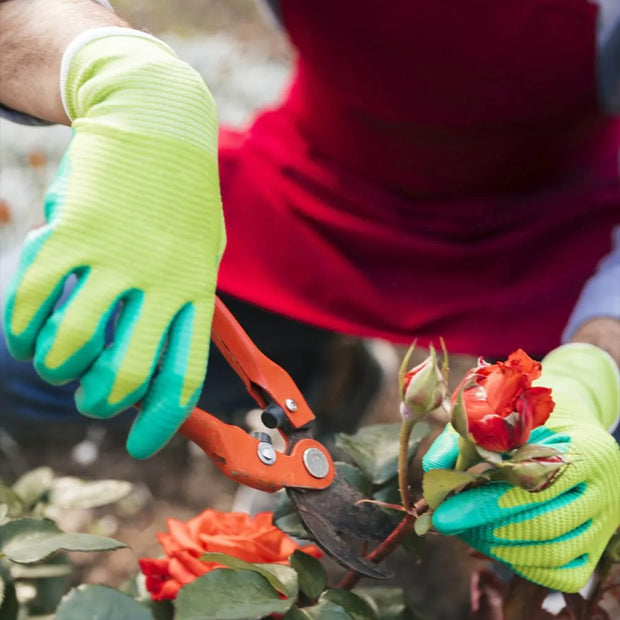 A close-up lifestyle shot of a person wearing bright lime green and teal gardening gloves, using orange pruning shears to trim red roses from a bush.