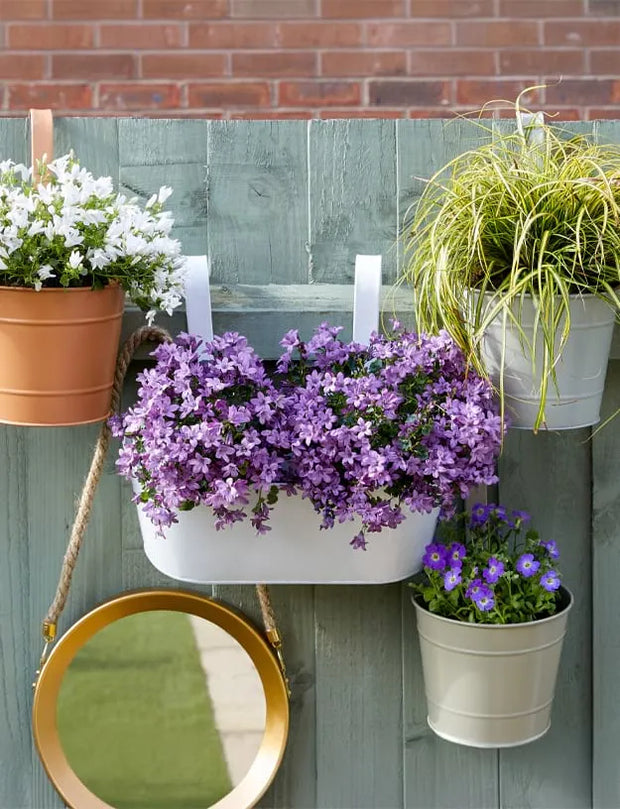 A styled outdoor wall display featuring a white rectangular planter box filled with dense purple flowers, surrounded by other potted plants in terracotta, gray, and cream metal pots, plus a round gold-framed mirror hanging below.