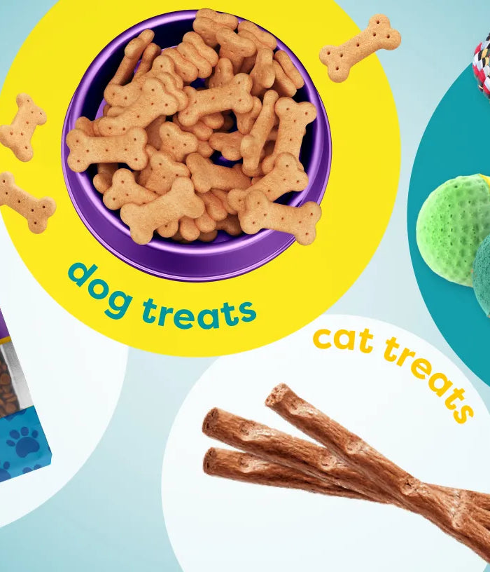 A collage-style product banner showing pet products: dog food bags, dog treats, colorful ball toys, a rope toy, and cat toys on a teal background with yellow and white circular callouts.