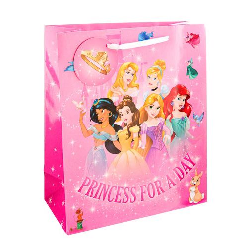 Princess/frozen Gift Bag