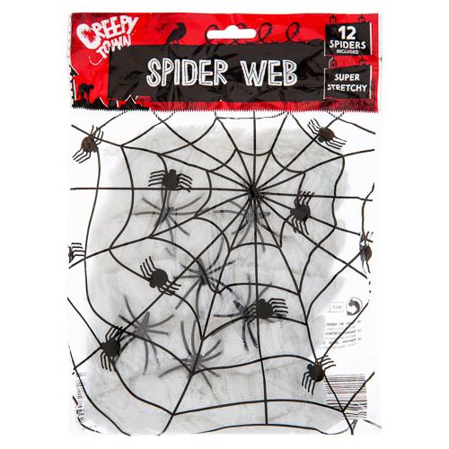Spider Web With 12 Spiders